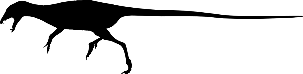Silhouette Autres ornithischiens