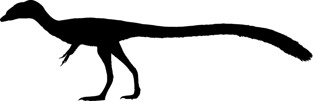 Silhouette Autres