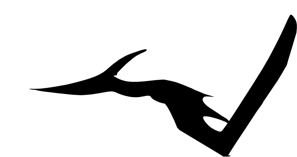 Silhouette Ptérosaures