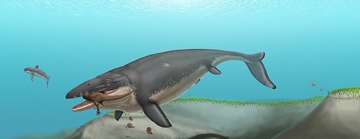Mosasaure