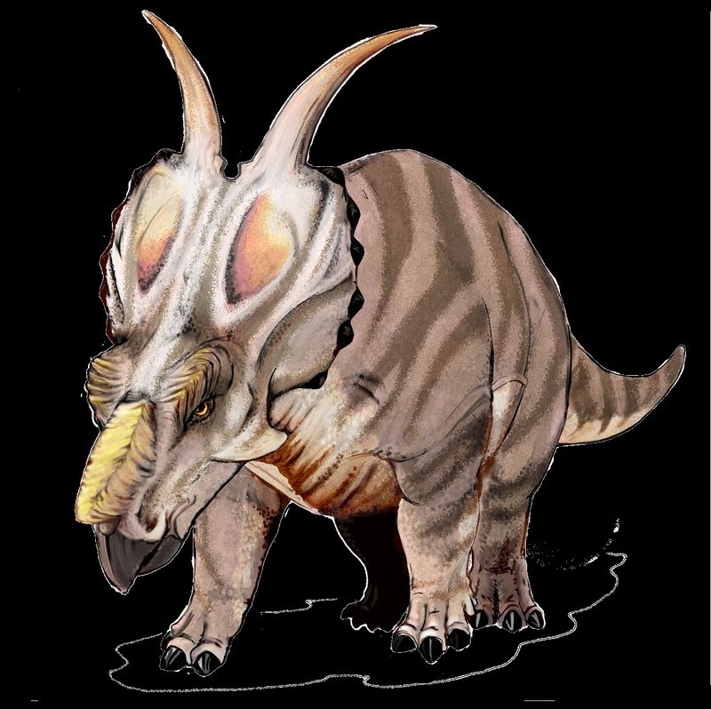 Achelousaurus — Autres ornithischiens