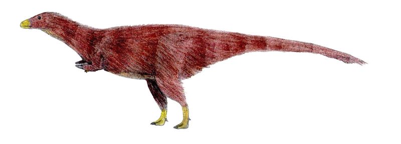 Achillesaurus — Théropodes