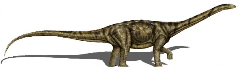Adamantisaurus — Autres saurischiens