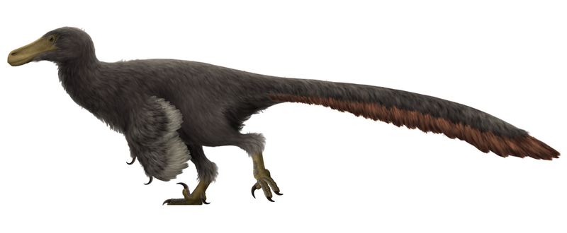 Adasaurus — Théropodes