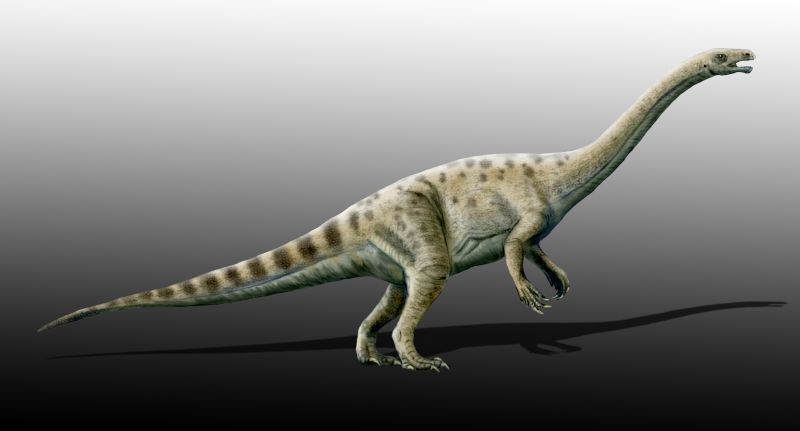 Adeopapposaurus — Autres saurischiens