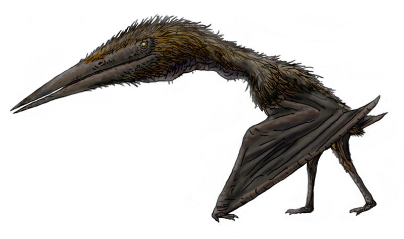Aerotitan — Ptérosaures