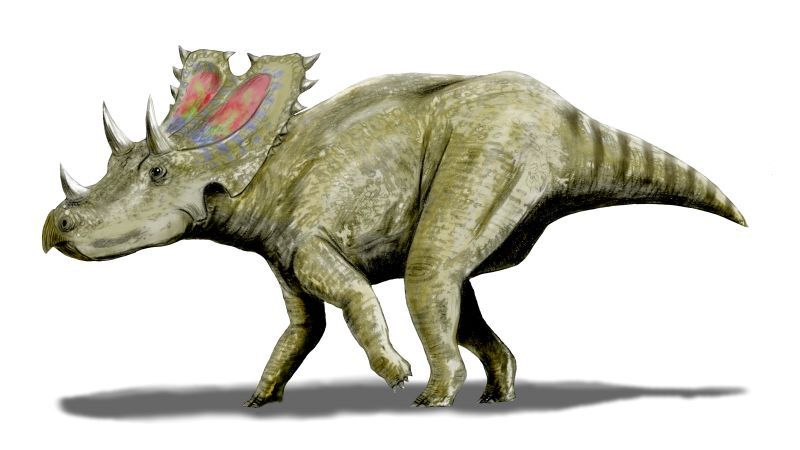 Agujaceratops — Autres ornithischiens