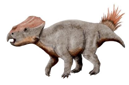 Ajkaceratops — Autres ornithischiens