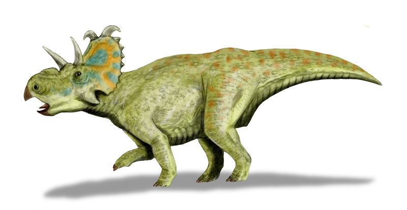 Albertaceratops — Autres ornithischiens
