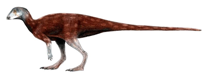 Albertadromeus — Autres ornithischiens