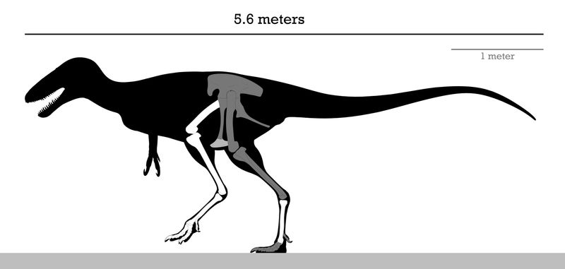 Alectrosaurus — Théropodes