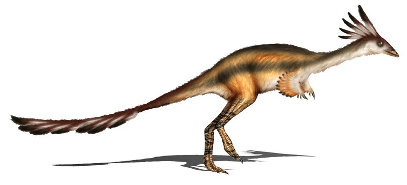 Alvarezsaurus — Théropodes