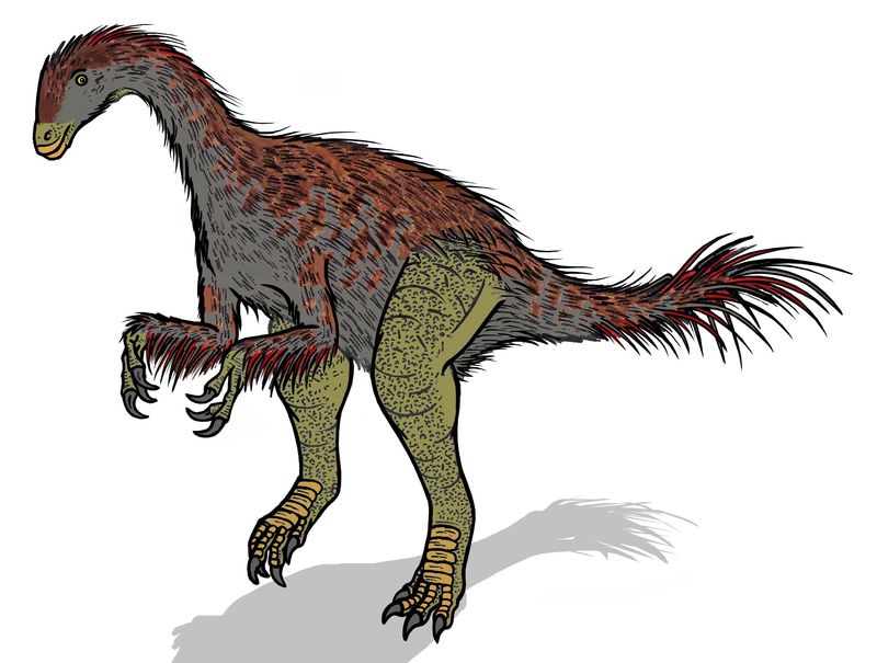 Alxasaurus — Théropodes