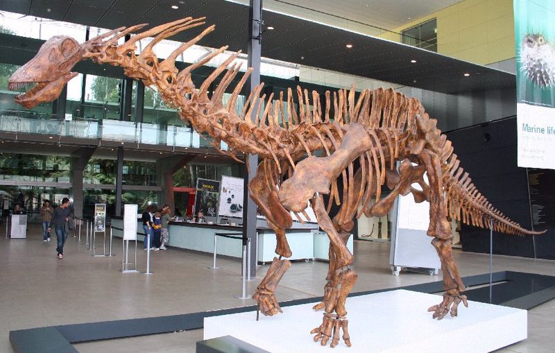 Amargasaurus cazaui — Autres saurischiens