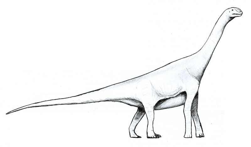 Amygdalodon — Autres saurischiens