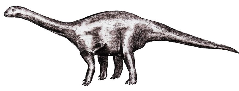 Antetonitrus — Autres saurischiens