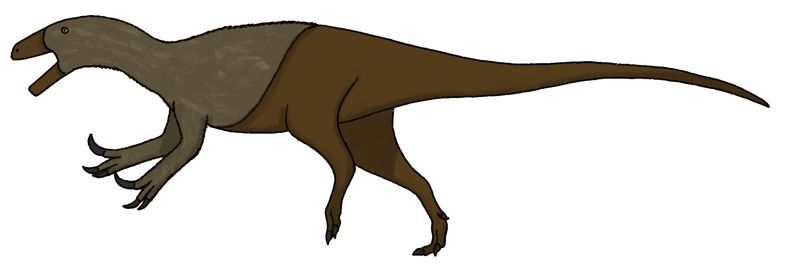 Aoniraptor — Théropodes