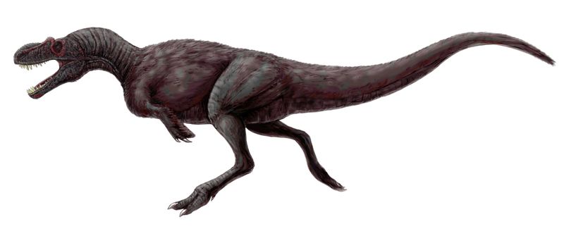 Appalachiosaurus — Théropodes