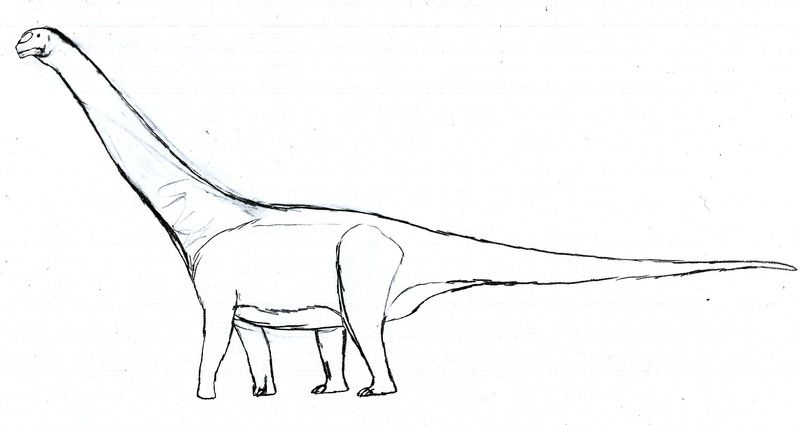 Aragosaurus — Autres saurischiens