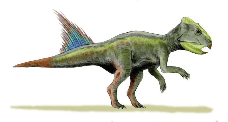 Archaeoceratops — Autres ornithischiens