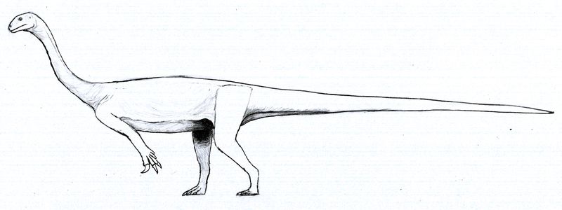 Arcusaurus — Autres saurischiens