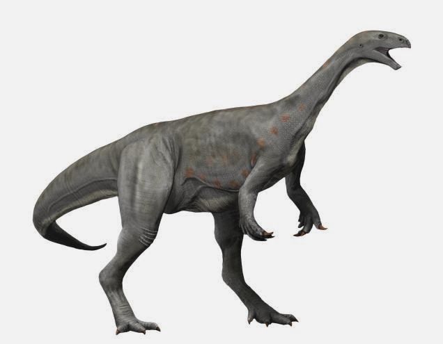 Asylosaurus — Autres saurischiens