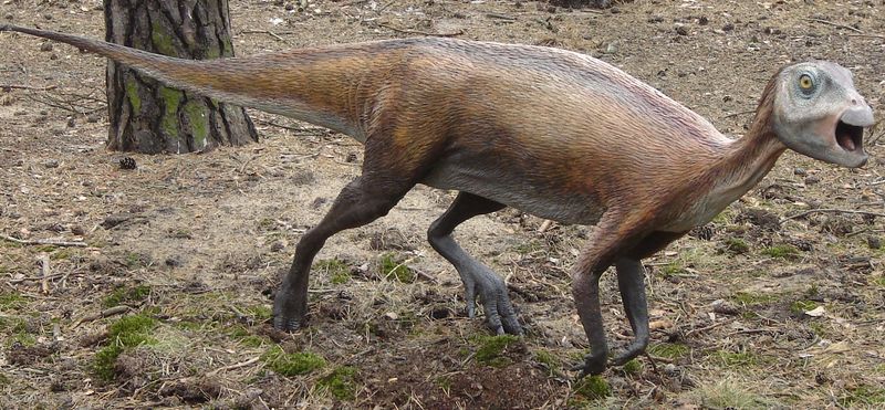 Atlascopcosaurus — Autres ornithischiens