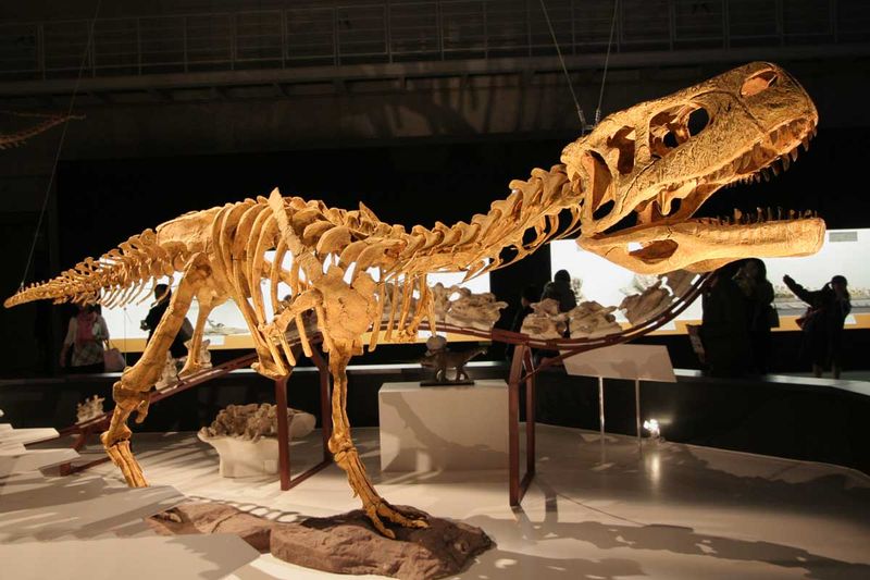 Aucasaurus — Théropodes