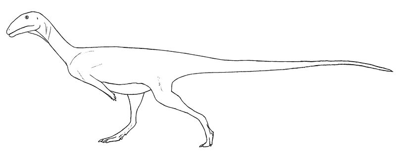 Austrocheirus — Théropodes