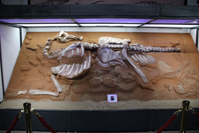 Bactrosaurus — Autres ornithischiens