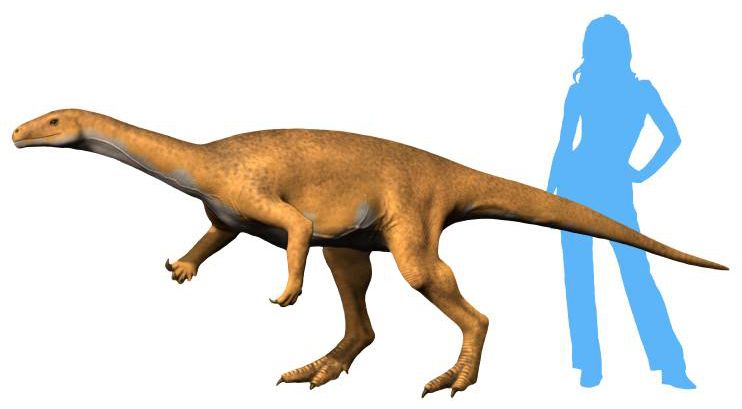 Bagualosaurus — Autres saurischiens