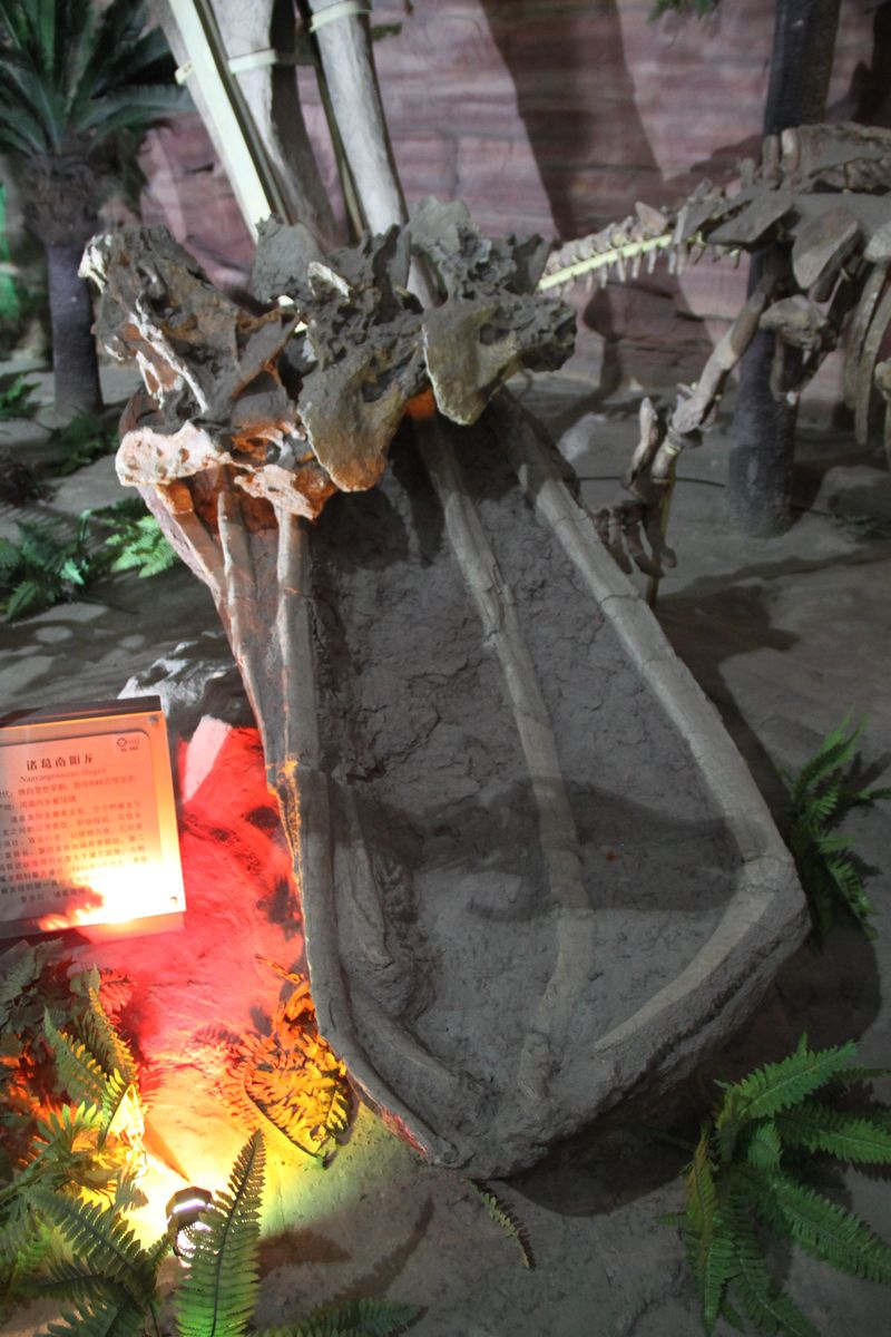Baotianmansaurus — Autres saurischiens