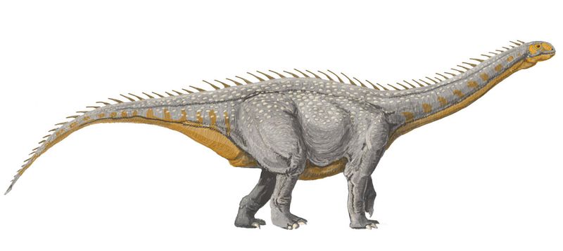 Barapasaurus — Autres saurischiens