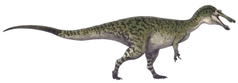 Baryonyx — Théropodes