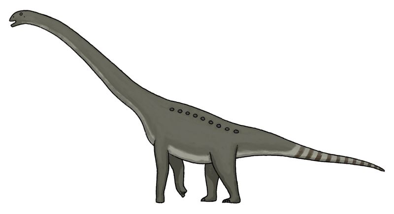 Borealosaurus — Autres saurischiens