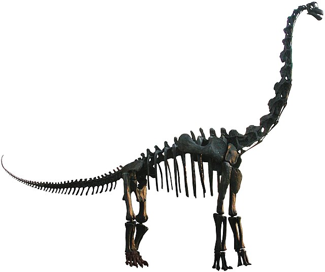 Brachiosaure