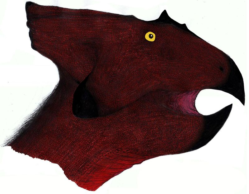 Breviceratops — Autres ornithischiens