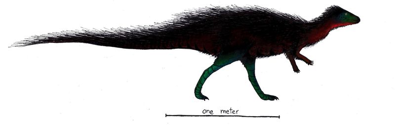 Callovosaurus — Autres ornithischiens