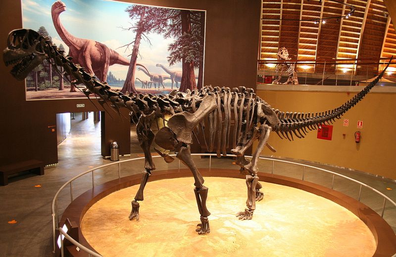 Camarasaurus — Autres saurischiens