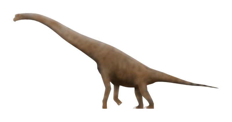 Cedarosaurus — Autres saurischiens