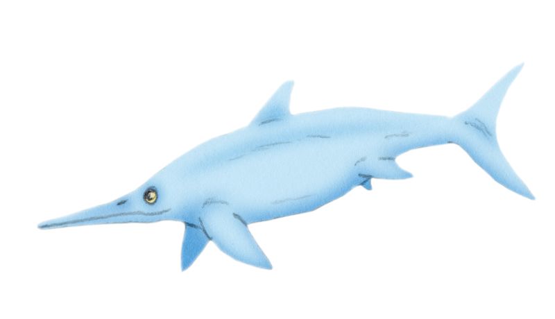 Chacaicosaurus — Reptiles marins