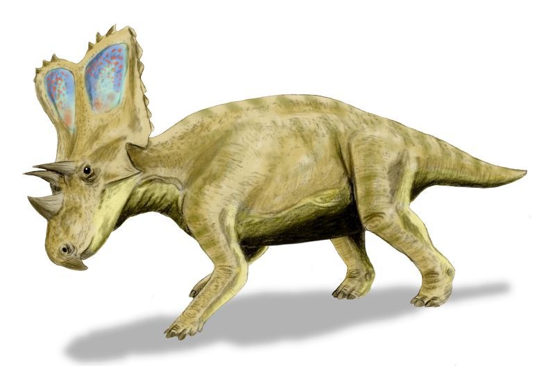 Chasmosaurus — Autres ornithischiens