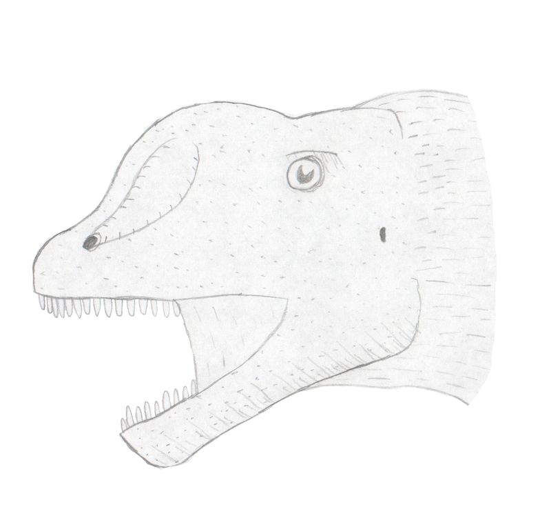 Chebsaurus — Autres saurischiens