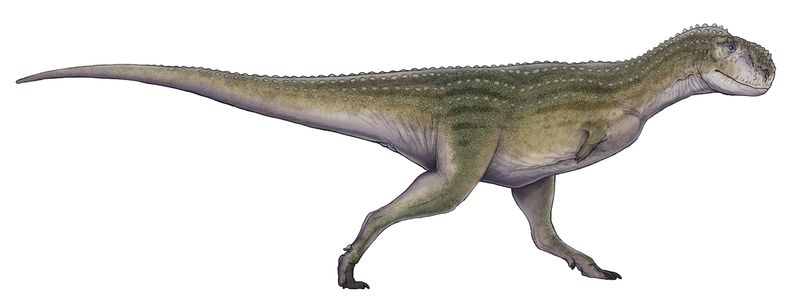 Chenanisaurus — Théropodes