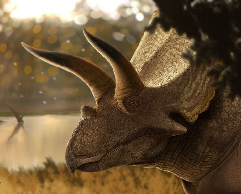 Coahuilaceratops — Autres ornithischiens