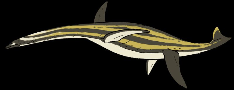 Colymbosaurus — Reptiles marins