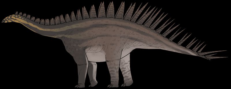 Dacentrurus — Autres ornithischiens