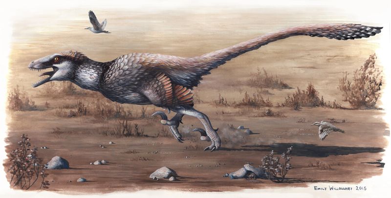 Dakotaraptor — Autres