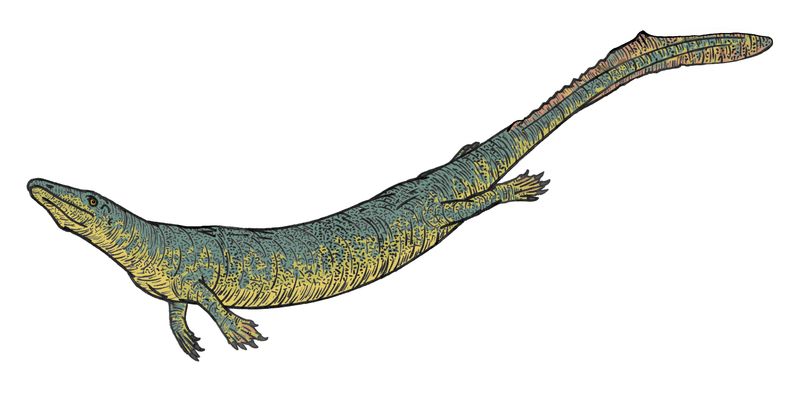 Dallasaurus — Reptiles marins