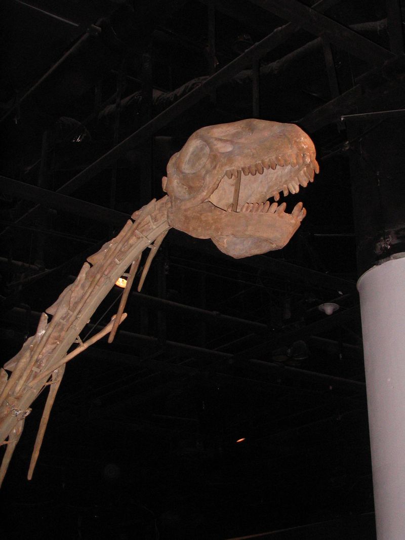 Datousaurus — Autres saurischiens